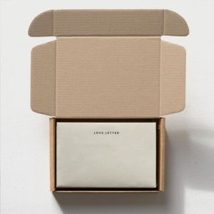 Hộp carton nắp gài 3 lớp size 10