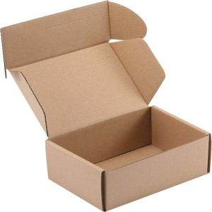 Hộp carton nắp gài 3 lớp size 10 ảnh 1