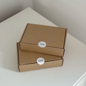 Hộp carton nắp gài 3 lớp size 12