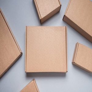 Hộp carton nắp gài 3 lớp size 18 ảnh 2