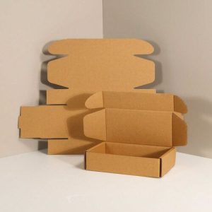 Hộp carton nắp gài 3 lớp size 20 ảnh 1