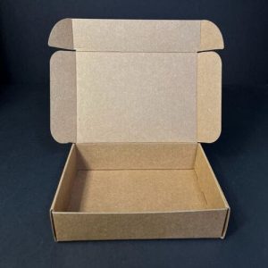 Hộp carton nắp gài 3 lớp size 22 ảnh 1