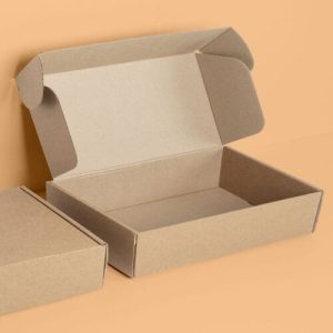 Hộp carton nắp gài 3 lớp size 22 ảnh 2