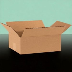 Thùng carton nắp đối 3 lớp size 40 ảnh 2