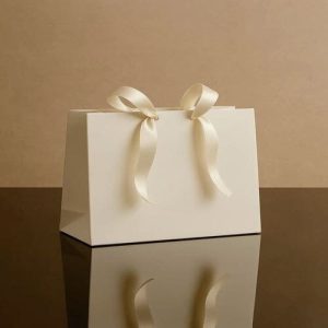 Túi giấy Ivory trắng C01