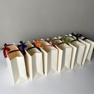 Túi giấy Ivory trắng C01 ảnh 2