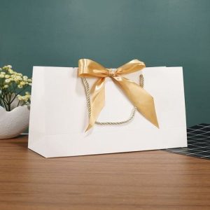 Túi giấy Ivory trắng C02 ảnh 1