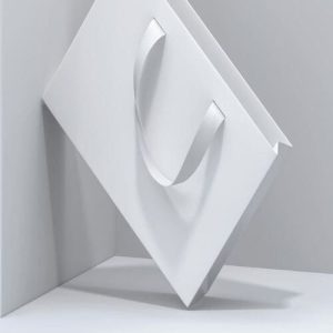 Túi giấy Ivory trắng C03 ảnh 1