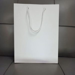 Túi giấy Ivory trắng C05 ảnh 1