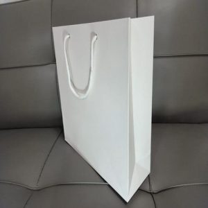Túi giấy Ivory trắng C05 ảnh 2