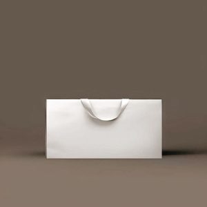 Túi giấy Ivory trắng C06 ảnh 1