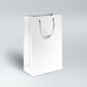 Túi giấy Ivory trắng C06 ảnh 3