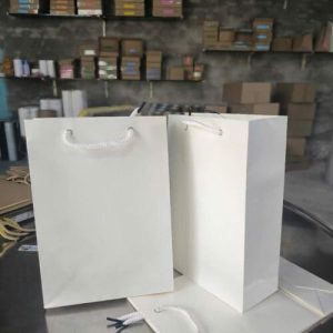 Túi giấy Ivory trắng C07 ảnh 2