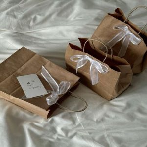 Túi giấy kraft nâu H2 ảnh 1