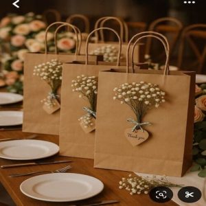 Túi giấy kraft nâu M09