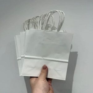 Túi giấy kraft trắng B02 ảnh 3