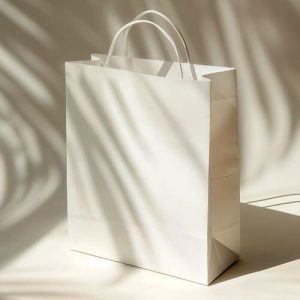 Túi giấy kraft trắng M01