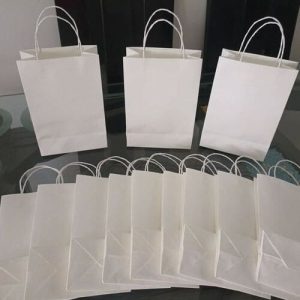 Túi giấy kraft trắng M04 ảnh 3