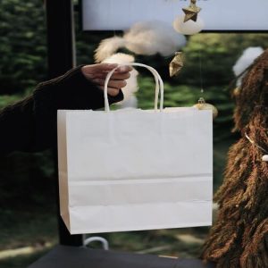 Túi giấy kraft trắng M05