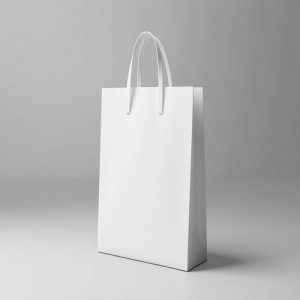 Túi giấy kraft trắng M07 ảnh 1