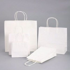 Túi giấy kraft trắng M08 ảnh 2