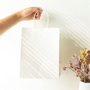 Túi giấy kraft trắng M09